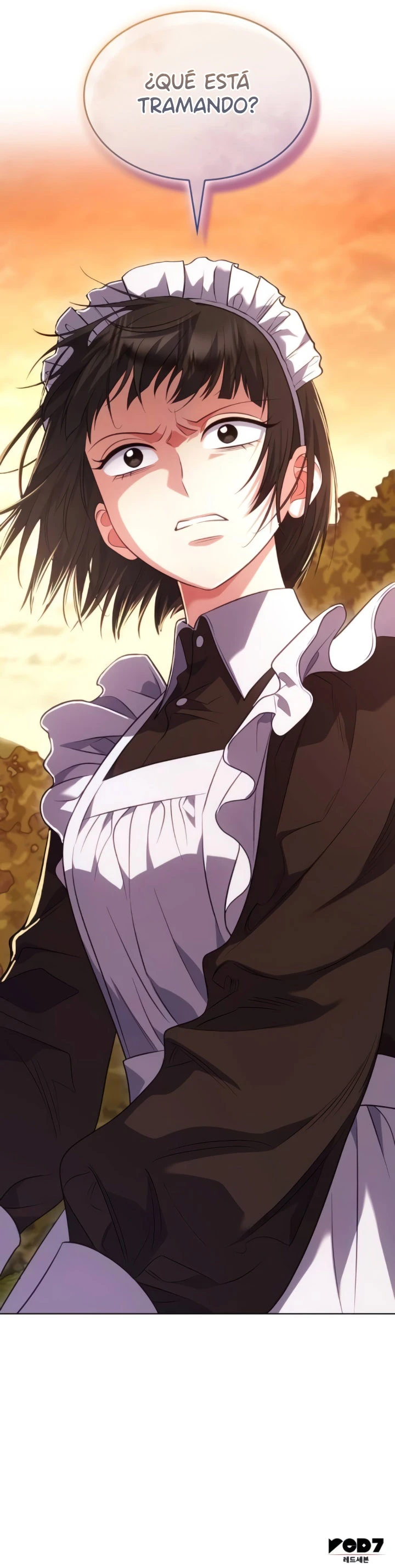 12 Este es solo un matrimonio por contrato