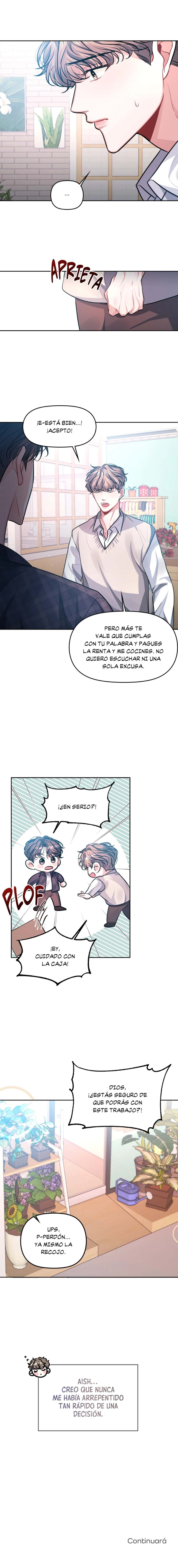 8 Mi sol de cada día