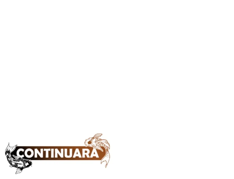 11 Trampa para ratones