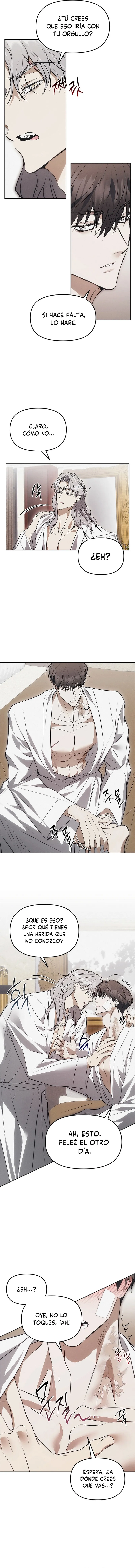 8 Trampa para ratones