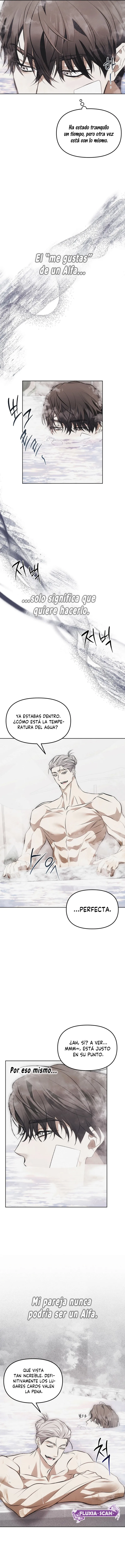 6 Trampa para ratones