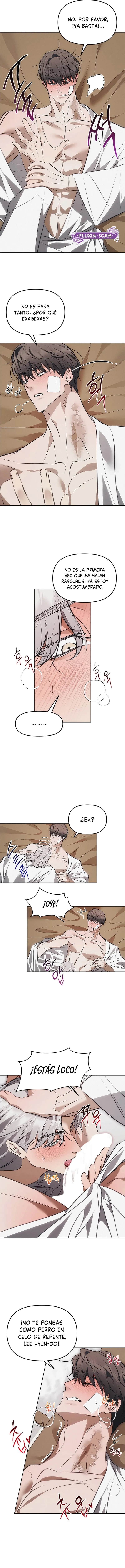 9 Trampa para ratones