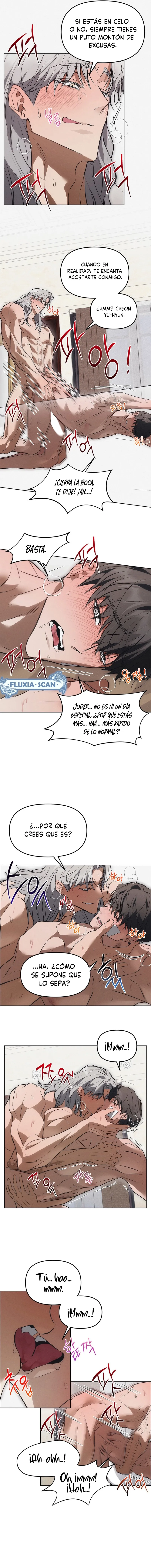 5 Trampa para ratones