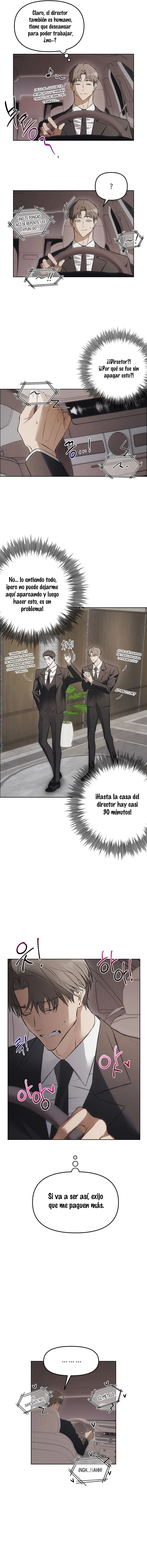 3 Trampa para ratones