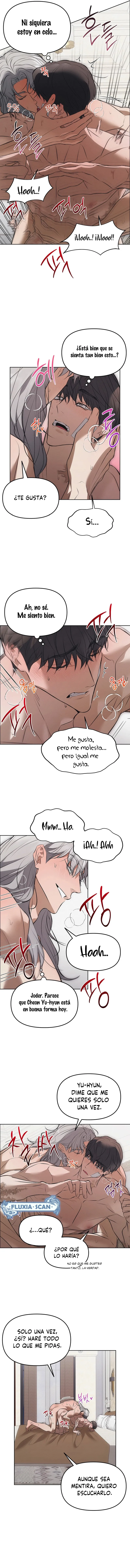 6 Trampa para ratones