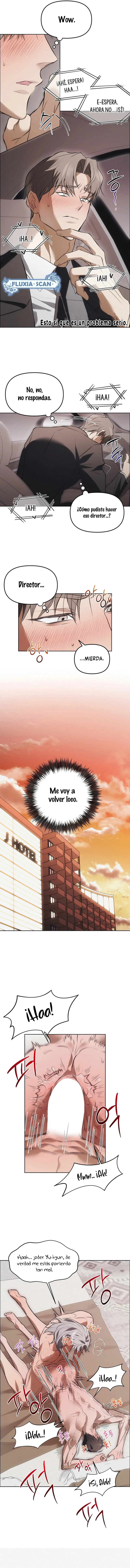 4 Trampa para ratones