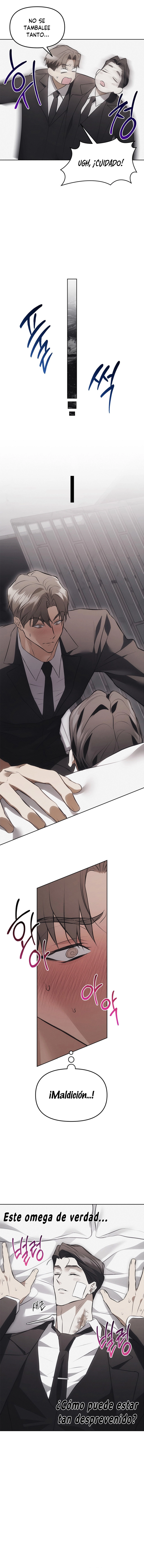 8 Trampa para ratones