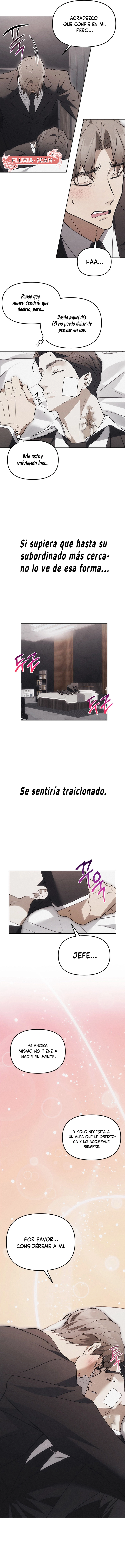 9 Trampa para ratones