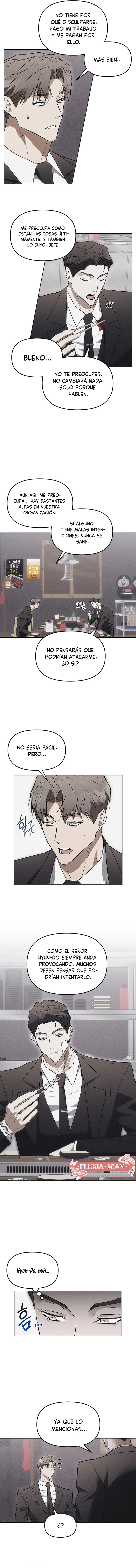 4 Trampa para ratones