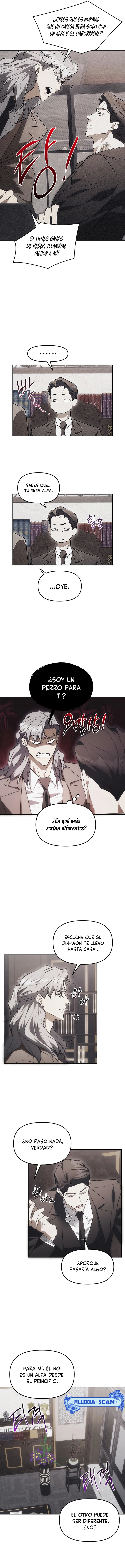 4 Trampa para ratones