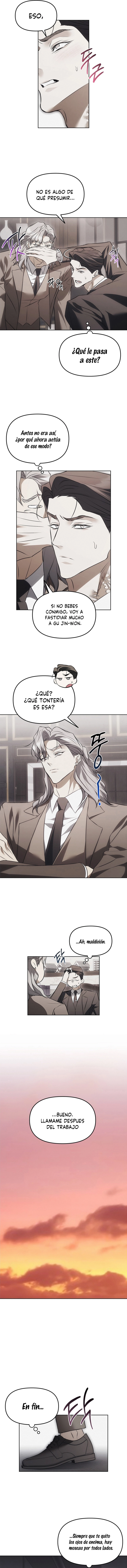 6 Trampa para ratones