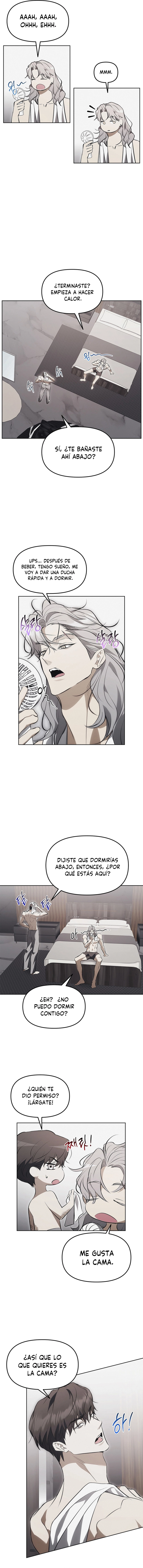 7 Trampa para ratones