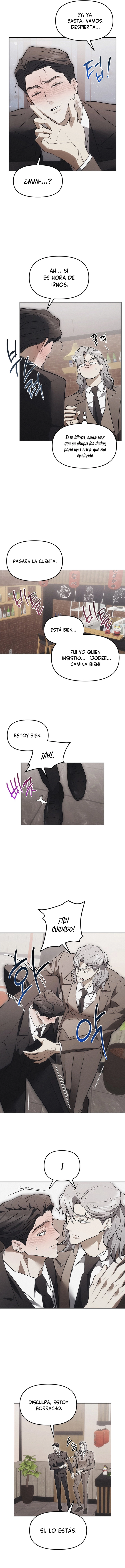 3 Trampa para ratones