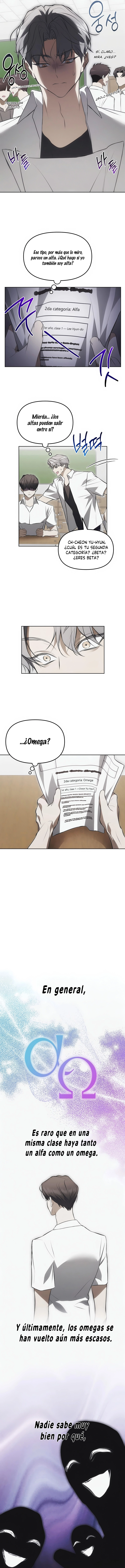 3 Trampa para ratones