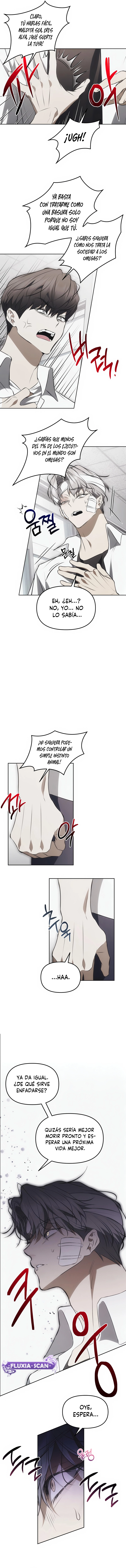 6 Trampa para ratones