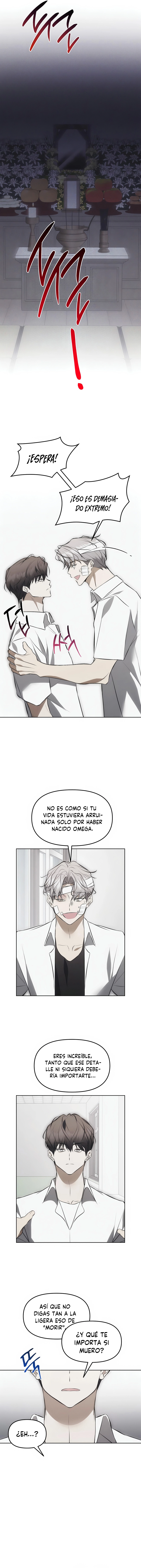 7 Trampa para ratones