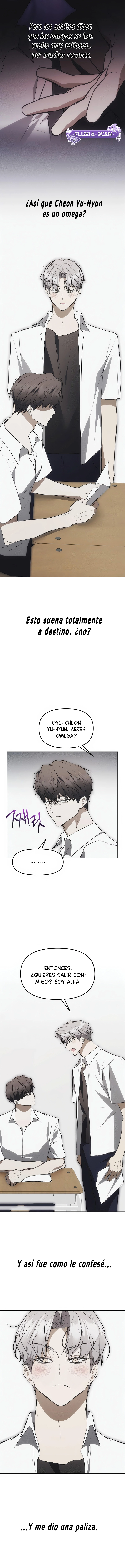 4 Trampa para ratones