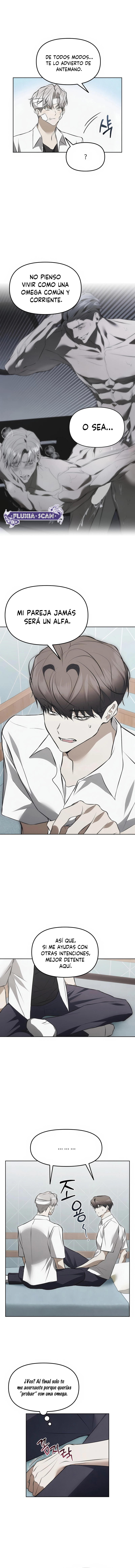 4 Trampa para ratones