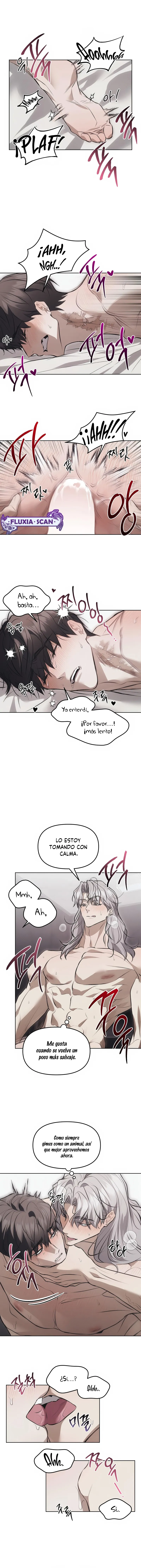 4 Trampa para ratones