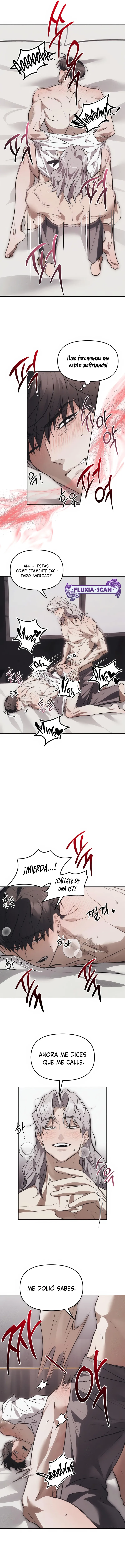 3 Trampa para ratones