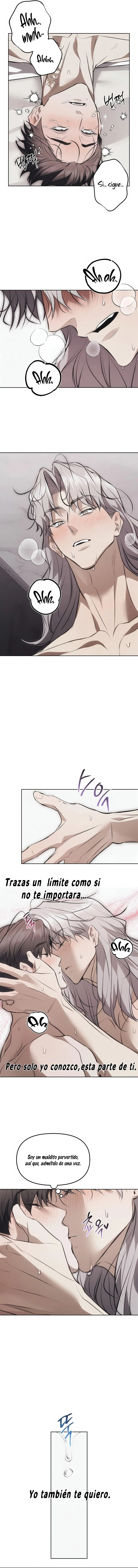 6 Trampa para ratones