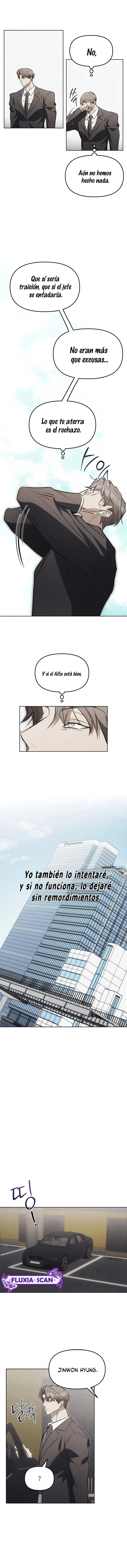 8 Trampa para ratones