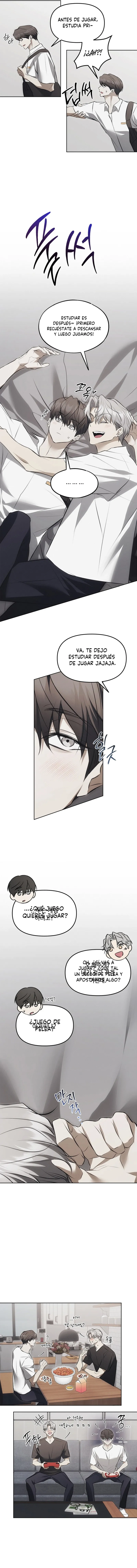 8 Trampa para ratones