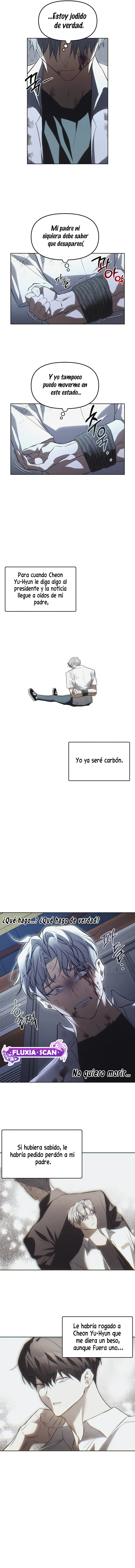 6 Trampa para ratones