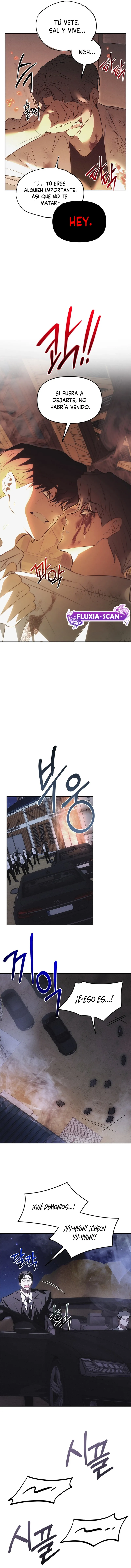 12 Trampa para ratones