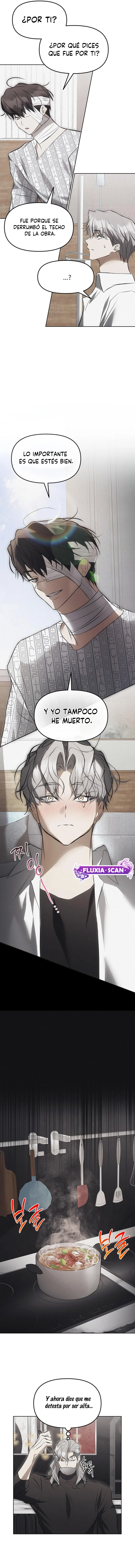 7 Trampa para ratones