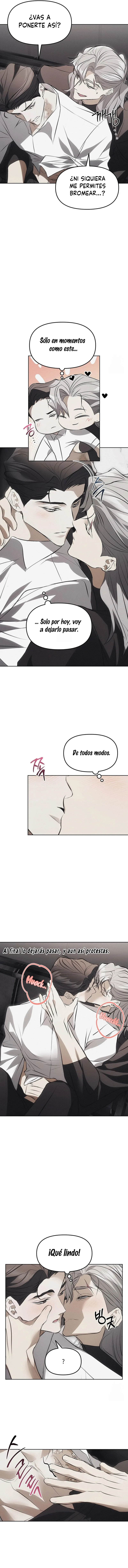 9 Trampa para ratones