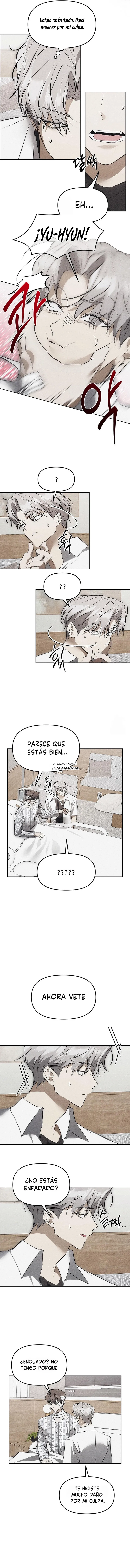 6 Trampa para ratones