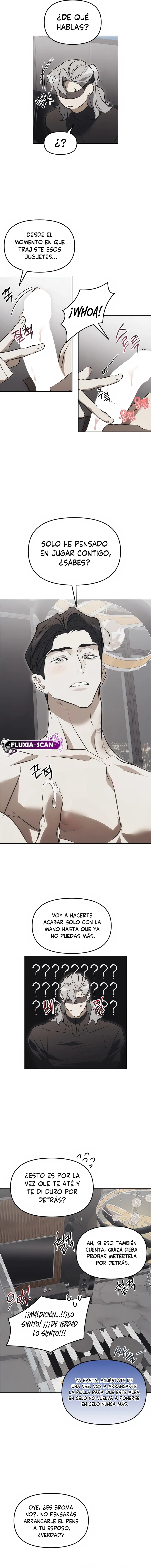 5 Trampa para ratones