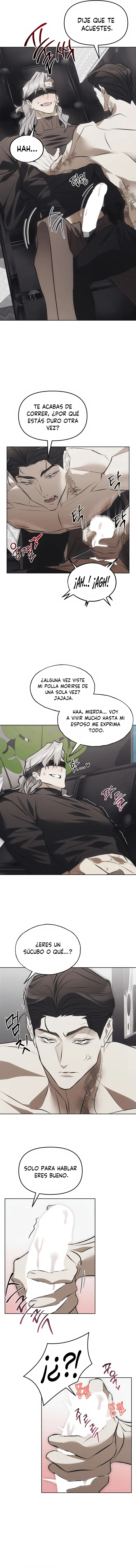 6 Trampa para ratones