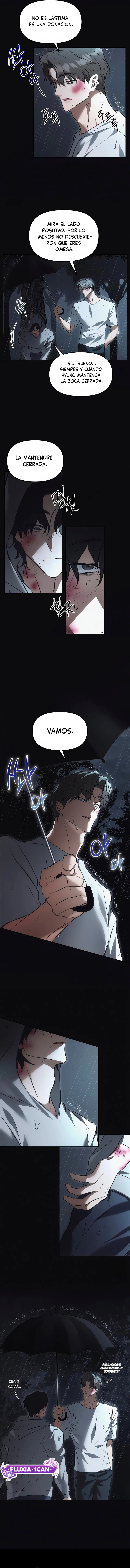 6 Trampa para ratones