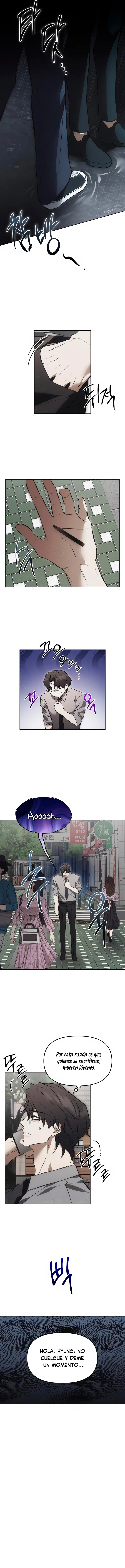 7 Trampa para ratones