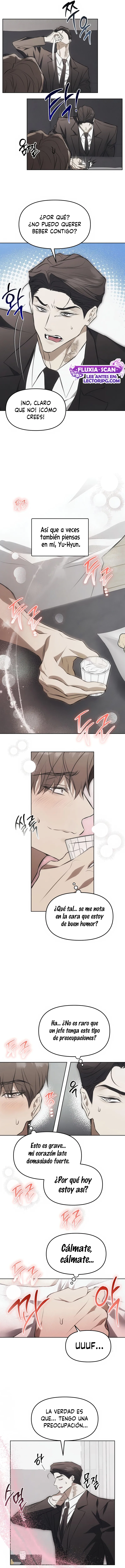 9 Trampa para ratones