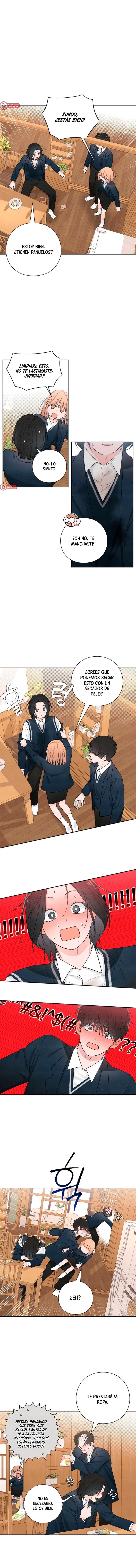 6 Revelación De la Juventud