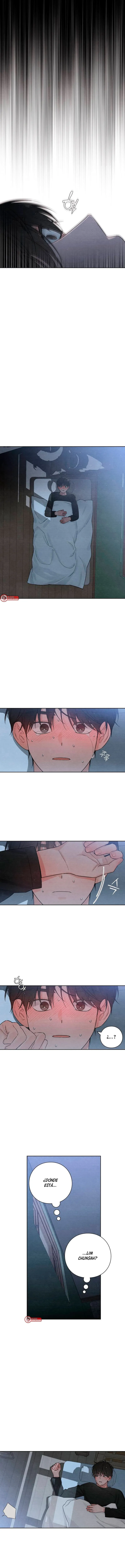 8 Revelación De la Juventud