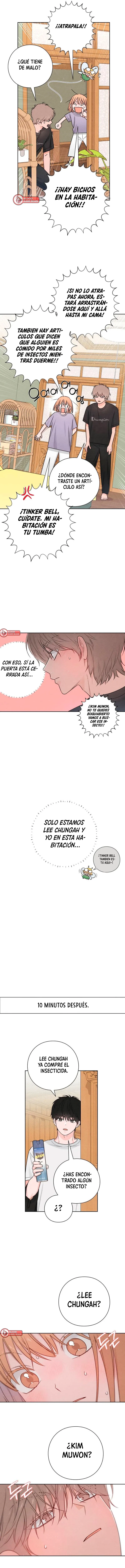 9 Revelación De la Juventud