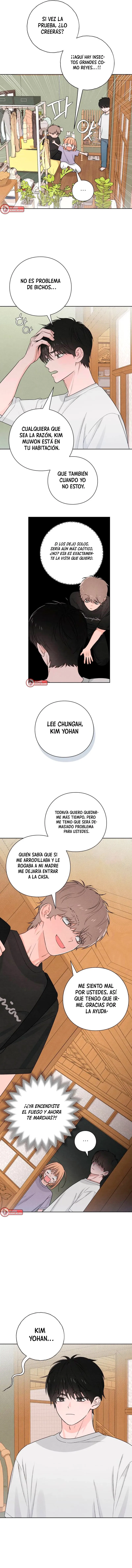 3 Revelación De la Juventud