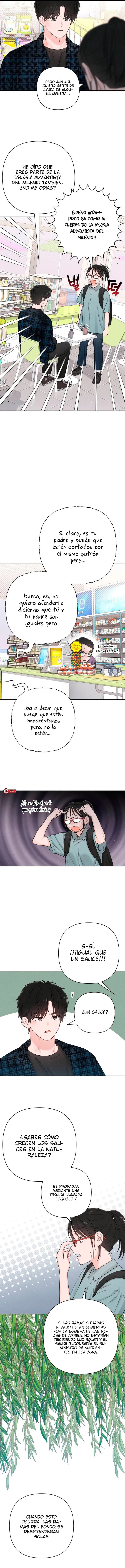 1 Revelación De la Juventud