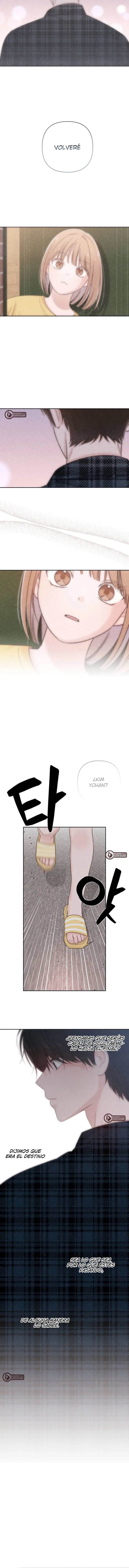 11 Revelación De la Juventud