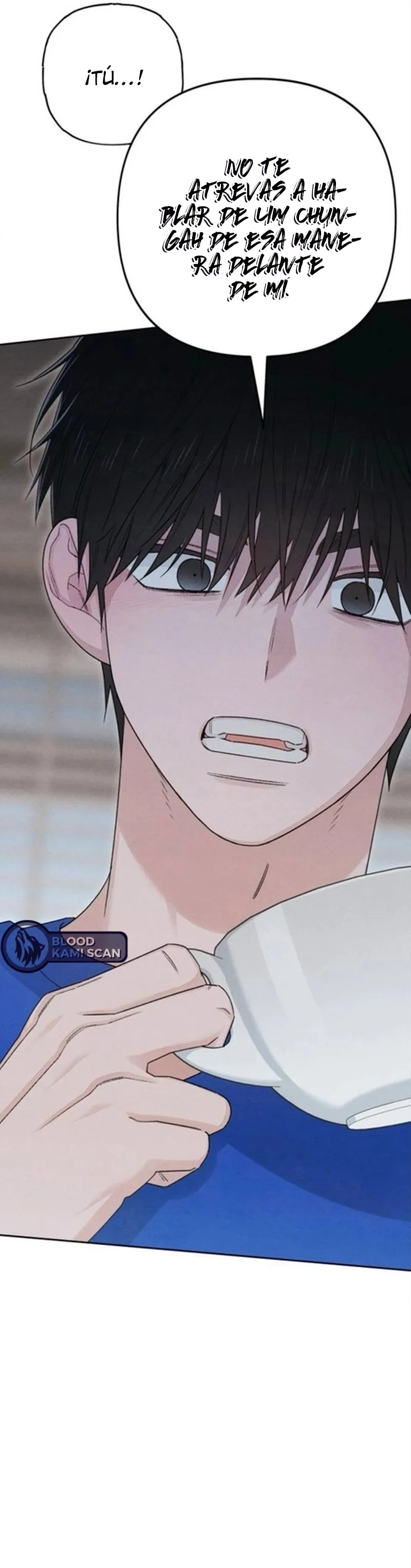 11 Revelación De la Juventud