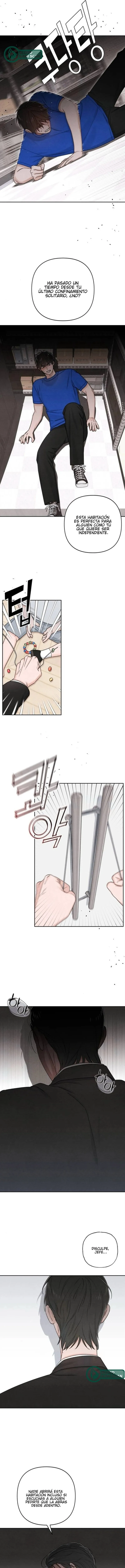 3 Revelación De la Juventud