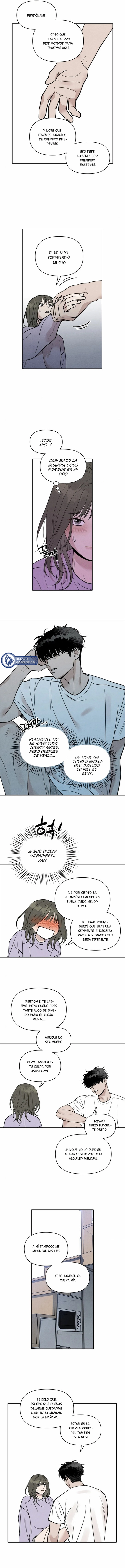 8 Recogí una serpiente cuando regresaba a casa del trabajo.