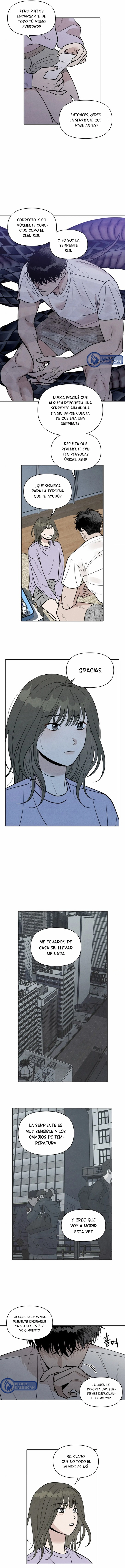 6 Recogí una serpiente cuando regresaba a casa del trabajo.