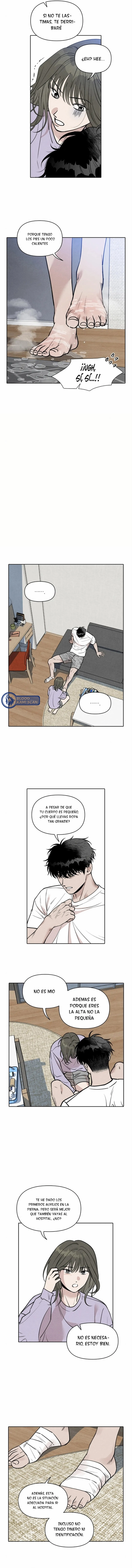 5 Recogí una serpiente cuando regresaba a casa del trabajo.