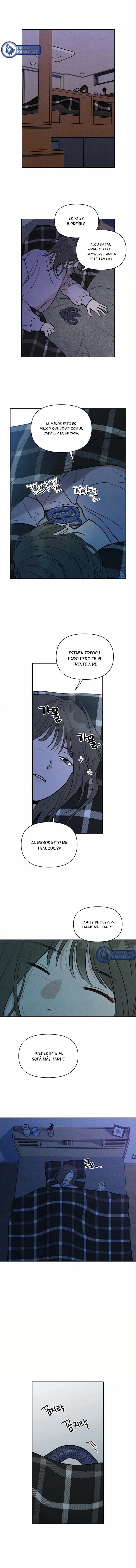 12 Recogí una serpiente cuando regresaba a casa del trabajo.