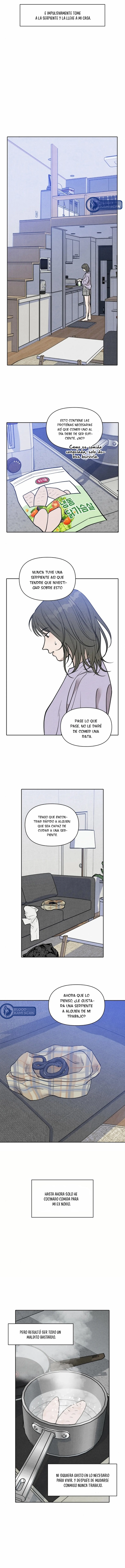 2 Recogí una serpiente cuando regresaba a casa del trabajo.